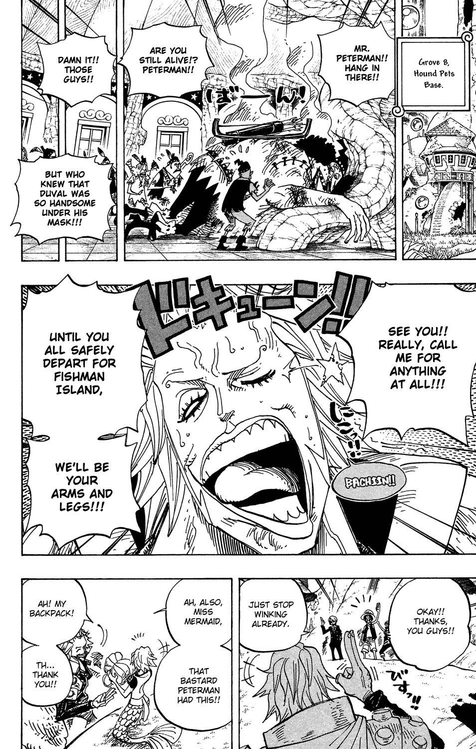 One Piece, Chapter 506 image 06